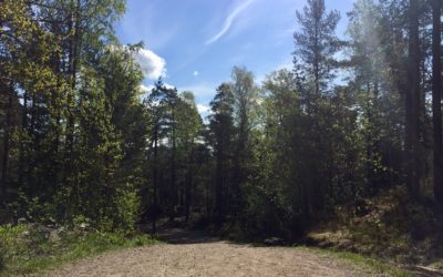 Unngå smerter i nakke og rygg når du sykler!