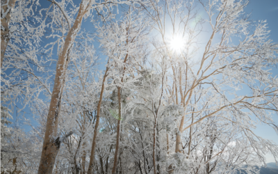 Gjør det beste ut av ferien med enkle tips!