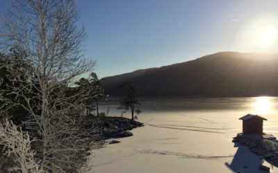 Hvordan disponere tiden din på en god måte?